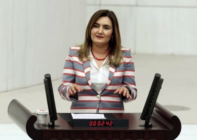 CHP’li Sevda Erdan Kılıç: 81 il başkanının açıklaması ıslak imzalı değil